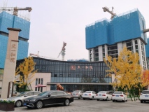 家乐园·邢台天一和院在建工地
