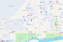 观岚吉第电子地图